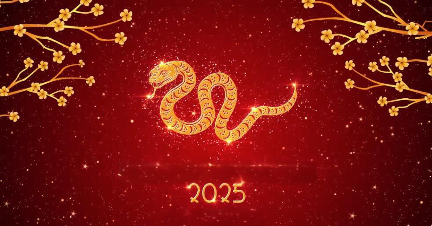 1739169867438546.png image.png